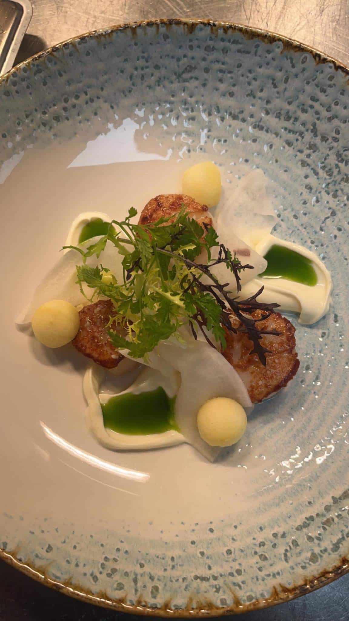 Gourmetret med kammuslinger og urter på tallerken