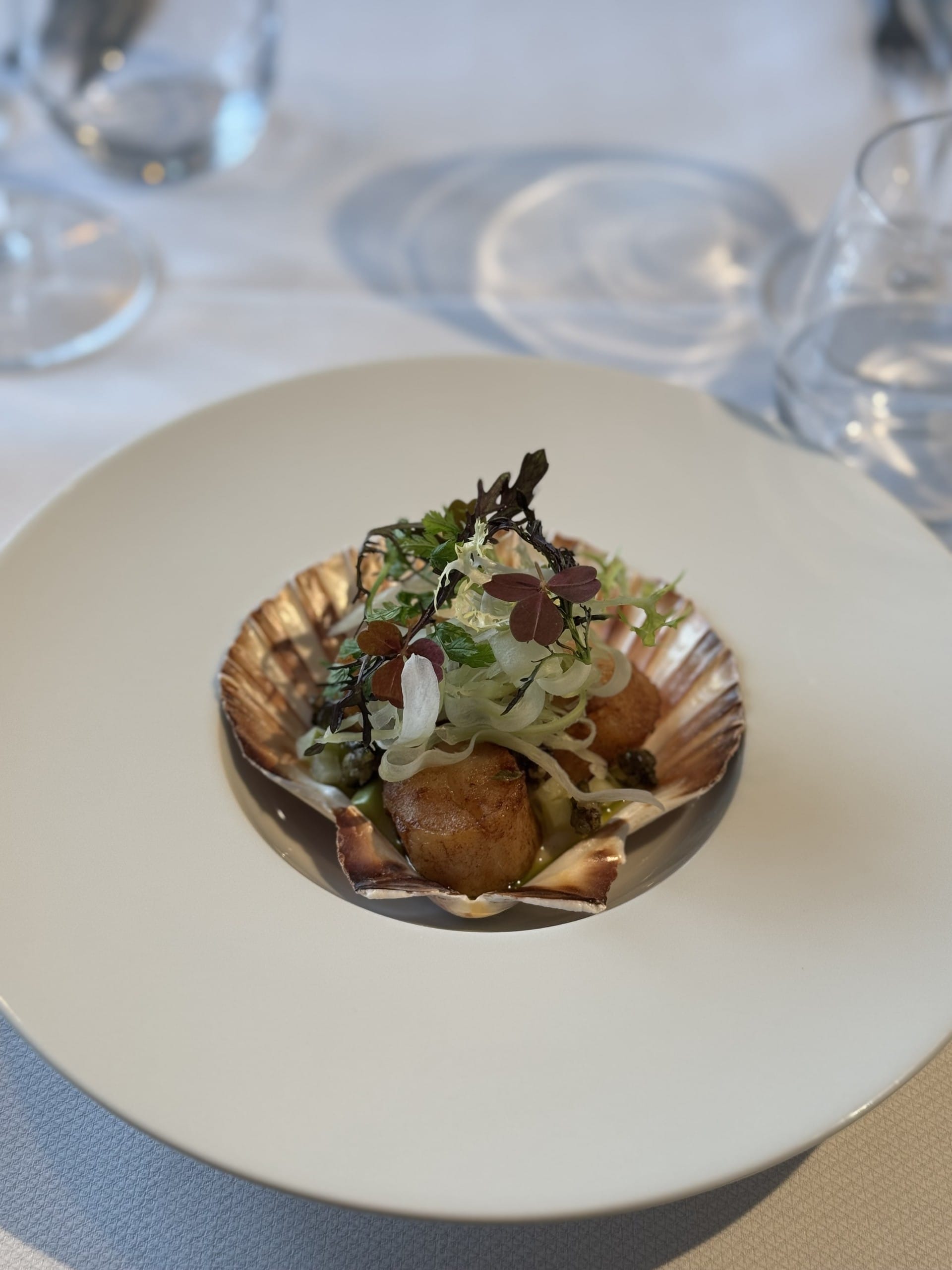 Stegt kammusling med friske urter og fennikel